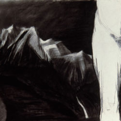 Kay WalkingStick (Cherokee Nation, born 1935), 'My Memory', 1997, Charcoal on paper, 25 x 50 in., Museum Purchase: Eiteljorg Fellowship